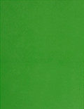 1.875x2.5 Labels - Green (for laser & inkjet printers) - Rectangle - SL1229-TG