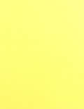 2 1/4x1 1/2 Labels - Pastel Yellow (for laser & inkjet printers) - Rectangle - SL844-PSTLY
