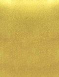 0.75x5 Labels - Gold Foil (for laser printers) - Rectangle - SL1264-GF